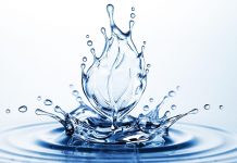 In Observance of Earth Day USPOULTRY highlights poultry and egg farm and poultry facilities environmental stewardship