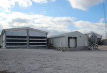 Hy-Line accelerates genetic progress across all lines