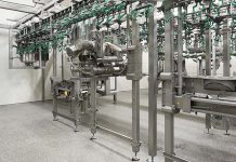 Need for speed – 15,000 bph with Meyn