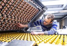 Egg system supplier Moba continues to innovate and grow