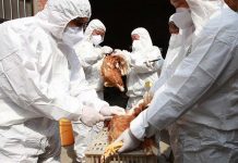 The role of poultry vaccination in reducing risk of exposures to the H7N9 Avian Influenza virus
