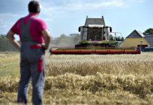 Peak food and our quest for an ethical and ecologically sustainable production