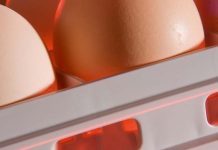 Mexico’s Alipec invests in SmartPro™ technology from Pas Reform for its major new hatchery