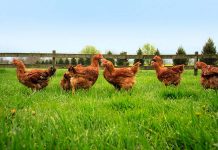 Hubbard: Dr James Bentley appointed as Global Technical Director