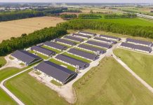 Cobb Herveld earns compartment status in Netherlands