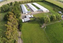 Taking phytase superdosing from scientific concept to commercial application: a UK example