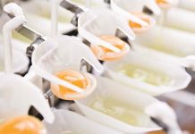 Patterns of EU egg trade. A 2016 status report