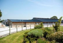 Turkey market review