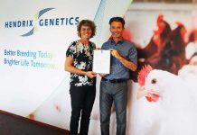 Hendrix Genetics Layers awarded AI free Compartment status for all Netherlands-based operations