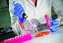 Research shows how Infectious Laryngotracheitis can spread from vaccinated flocks