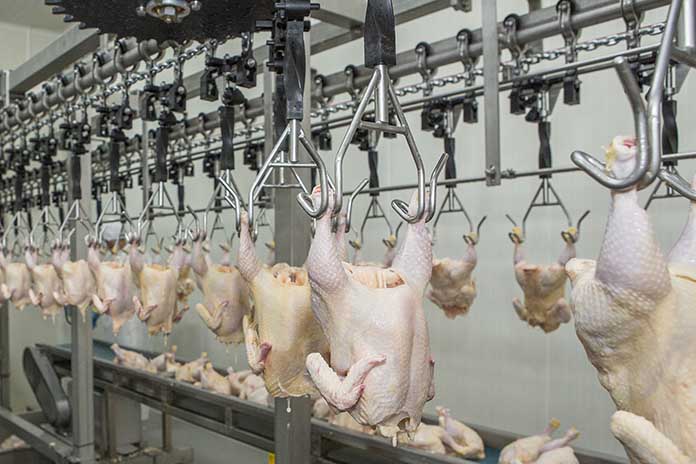 A projection of the future development of global meat production with special reference to poultry meat