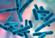 Training of animal microbiome to degrade fibre by AB Vista