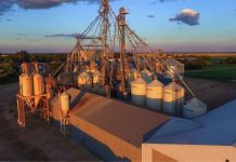Expanding feed milling capacity and quality at New Rosendale’s