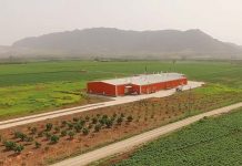 Turkish poultry producer Pilyem contracts with Pas Reform for new hatchery in Adana