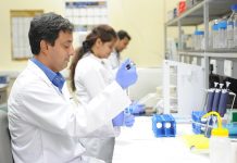 Compatibility of a new multi-strain probiotic with a live-attenuated Salmonella vaccine in chickens