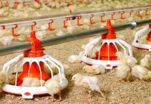 The benefits of digitization and data sharing