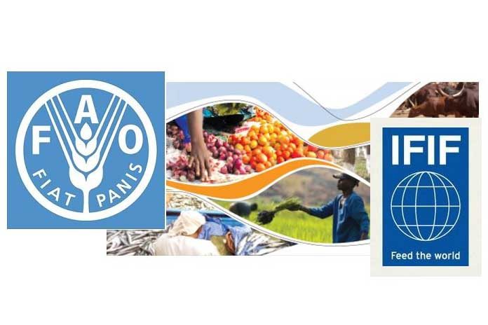 IFIF FAO