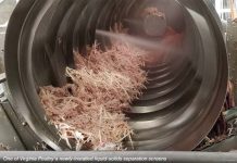 Reducing water usage in turkey processing