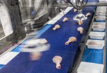 Marel Poultry, professors and processors united in robot research