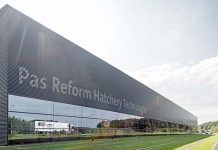 Pas Reform appoints new distributor for Romania