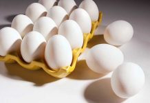 IEC launched Global Initiative for Sustainable Eggs (GISE)