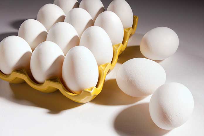 IEC launched Global Initiative for Sustainable Eggs (GISE)