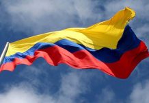 Cobb opens Colómbia subsidiary with a Grandparent Stock operation