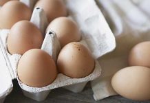 How eggs can provide sustainable nutrition to fight world hunger