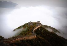 Patterns and dynamics of China’s egg industry