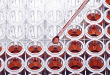 Frontiers in human and veterinary antibody discovery