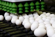 The role of Asia in egg production