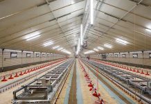 Air around the egg with X-Treck