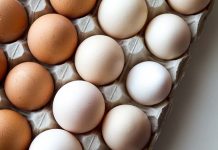 Patterns and dynamics of the egg industry in Japan