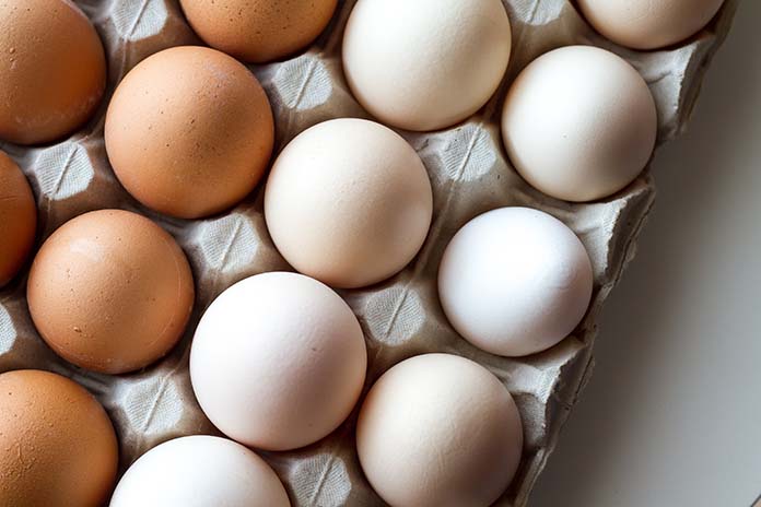 Patterns and dynamics of the egg industry in Japan
