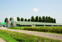 Research shows nutritional effects of Coccidiosis vaccination