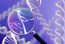 2019 Animal Genetics and Diseases Conference