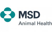 MSD Animal Health announces leadership appointments in emerging digital technology operating unit