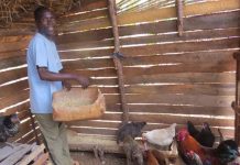 Do vaccination interventions have effects?