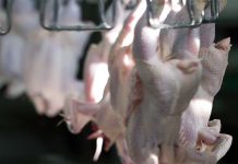 Improvement of chilling efficiency and product quality of broiler carcasses using sub-zero saline solutions