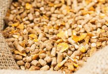 2019 IPPE to feature nearly seventy TECHTalks showcasing industry technology and trends