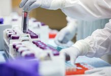 Engineering vaccines for multiple strains of IBV