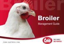 Cobb Releases New Management Guides