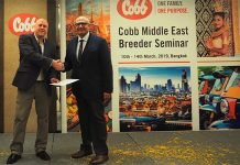 Cobb Breeder Management Seminars help set customers up for success
