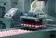 Visit to Prinzen, specialist in egg-handling systems for hatcheries