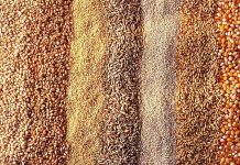 Can xylanase inhibitors affect the efficacy of xylanases in poultry diets?