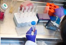 Understanding resistance to different Infectious Bronchitis virus genotypes