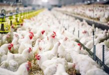 The importance of fresh air