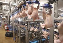 Q-Wing highly values wing parts