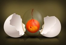 The potential of perinatal nutrition