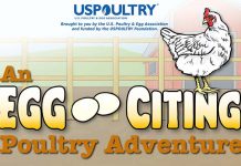 An Egg-Citing Poultry Adventure